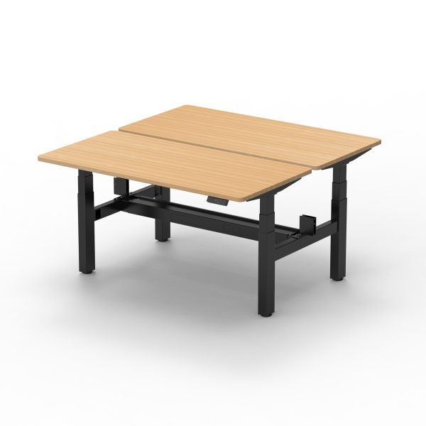 Altura Professional 3-Stage Back-to-Back Workstation