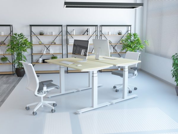 Altura Professional 3-Stage Back-to-Back Workstation - Image 3