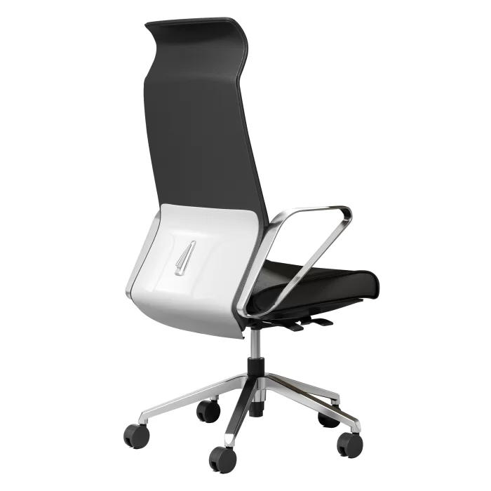 Leather Chairs